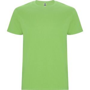 Roly Mens Stafford T-Shirt / Oasis Green